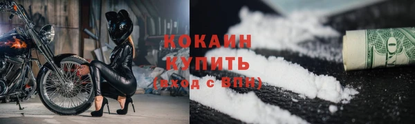 сатива Болхов