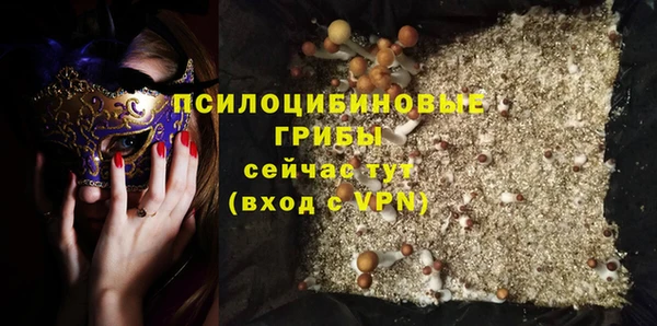 гидра Семикаракорск