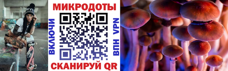 купить наркоту  Торжок  Псилоцибиновые грибы ЛСД 